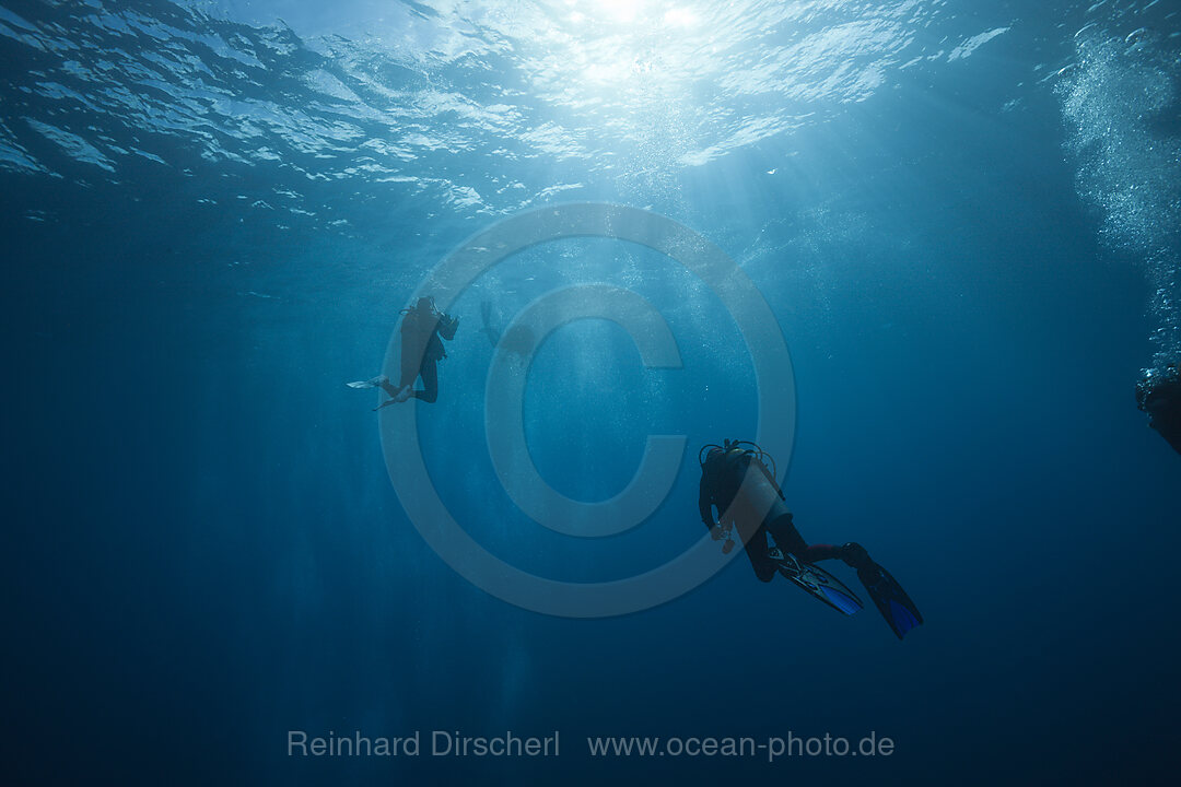 Scuba Diver in Open Water, n/a, Socorro Revillagigedo Islands, Mexico