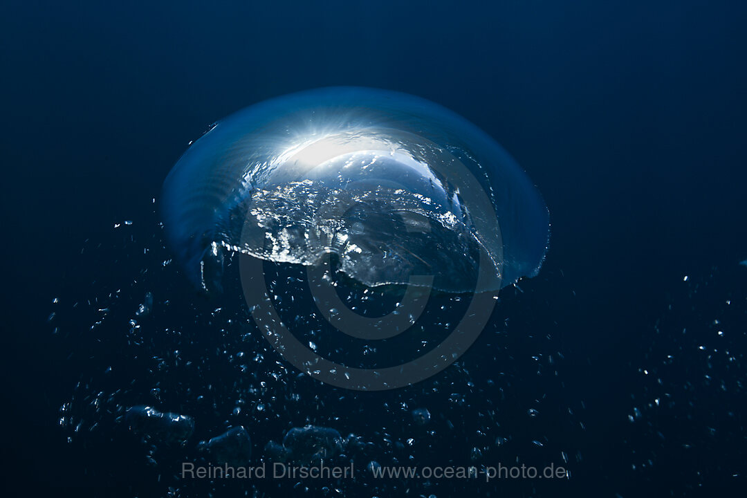 Air Bubbles in Ocean
