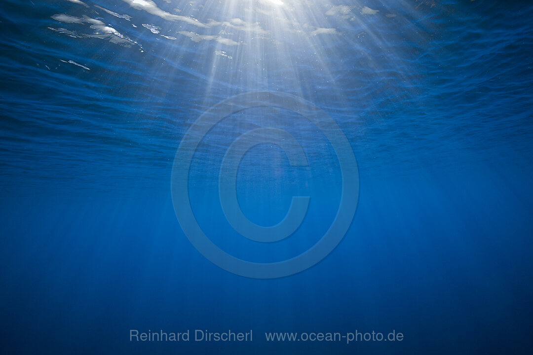 View to Surface from Underwater