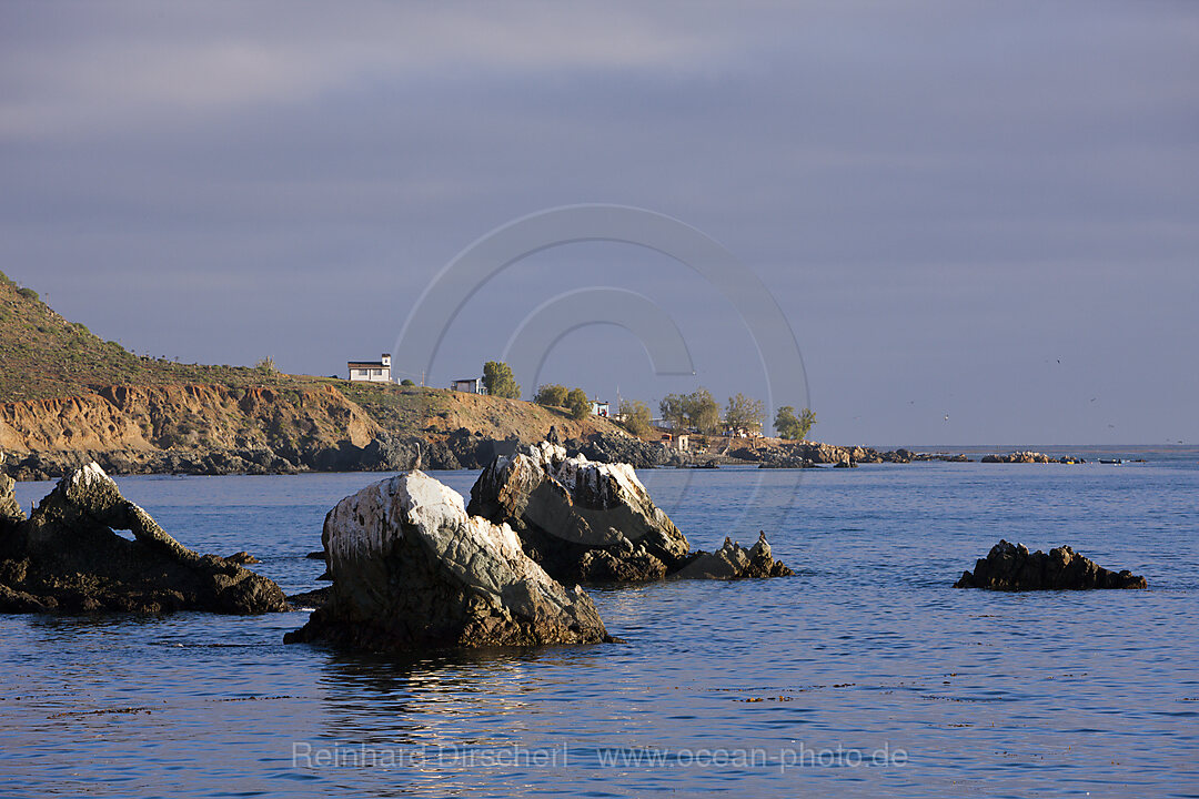 Coast of Cedros Island
