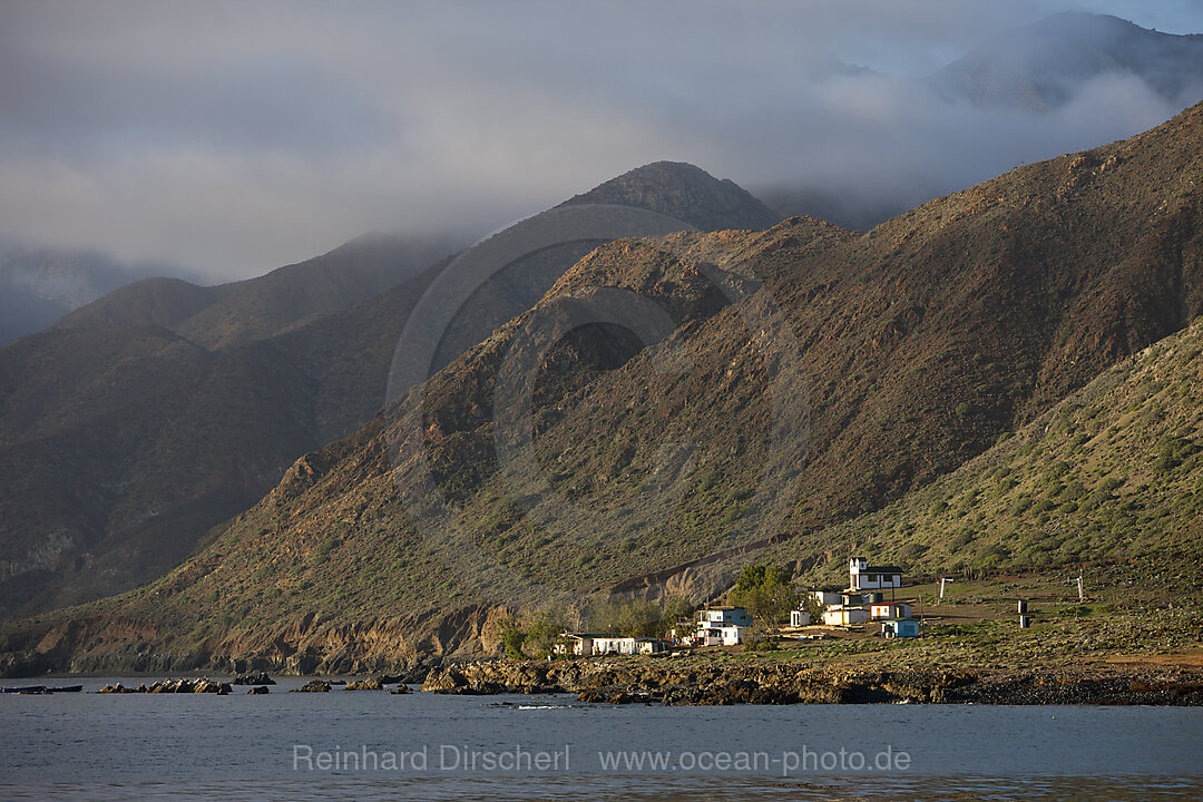 Coast of Cedros Island