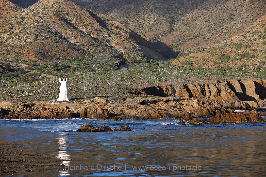 Kueste von Cedros Island