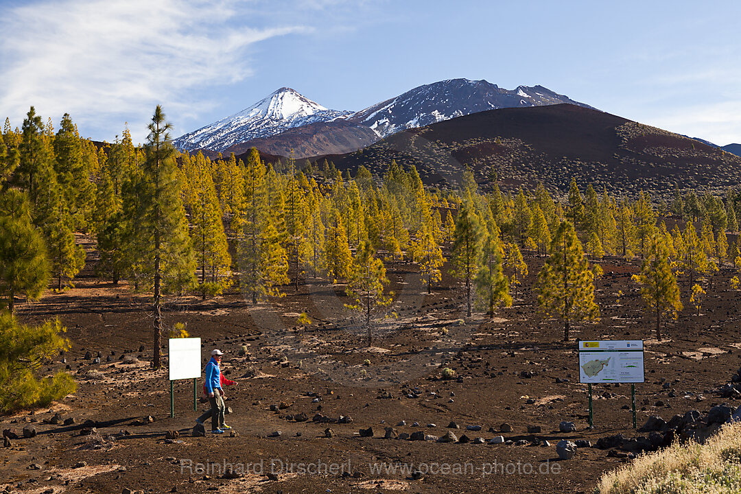 Kraterlandschaft des Teide Nationalparks, n/a, Teneriffa, Spanien