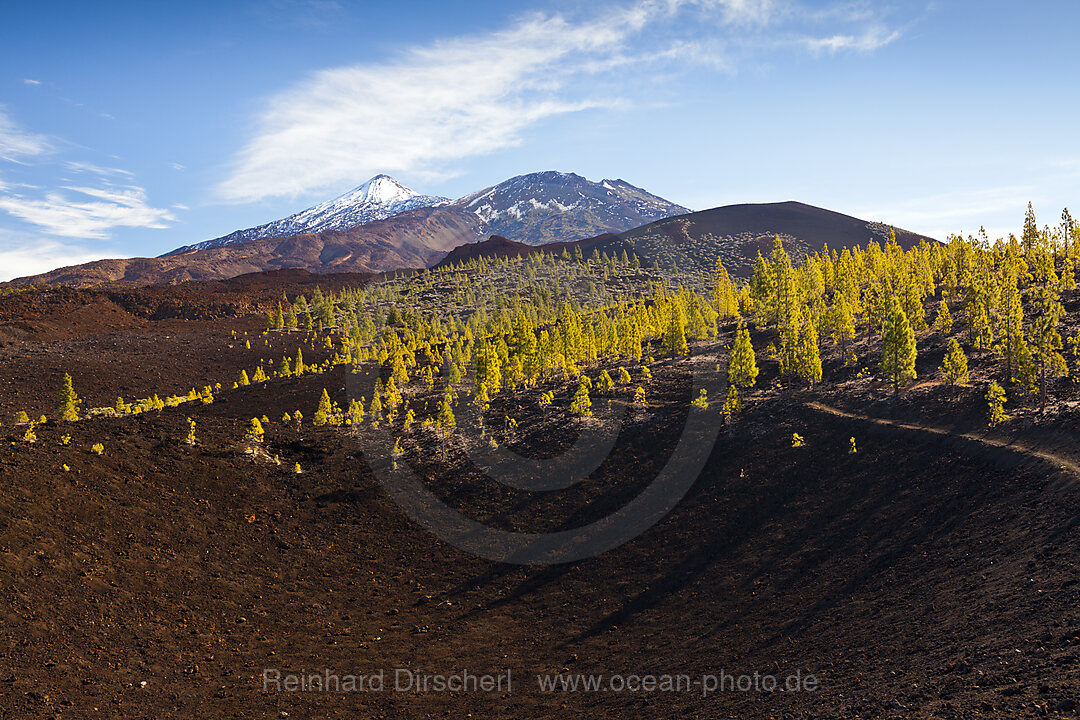 Kraterlandschaft des Teide Nationalparks, n/a, Teneriffa, Spanien