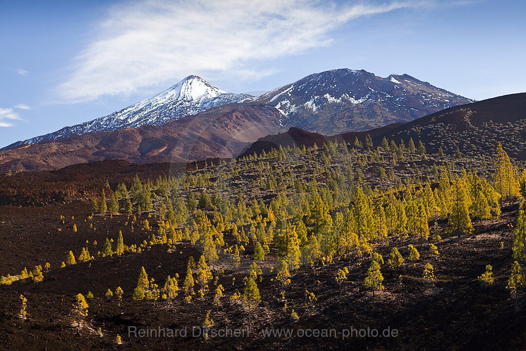 Kraterlandschaft des Teide Nationalparks