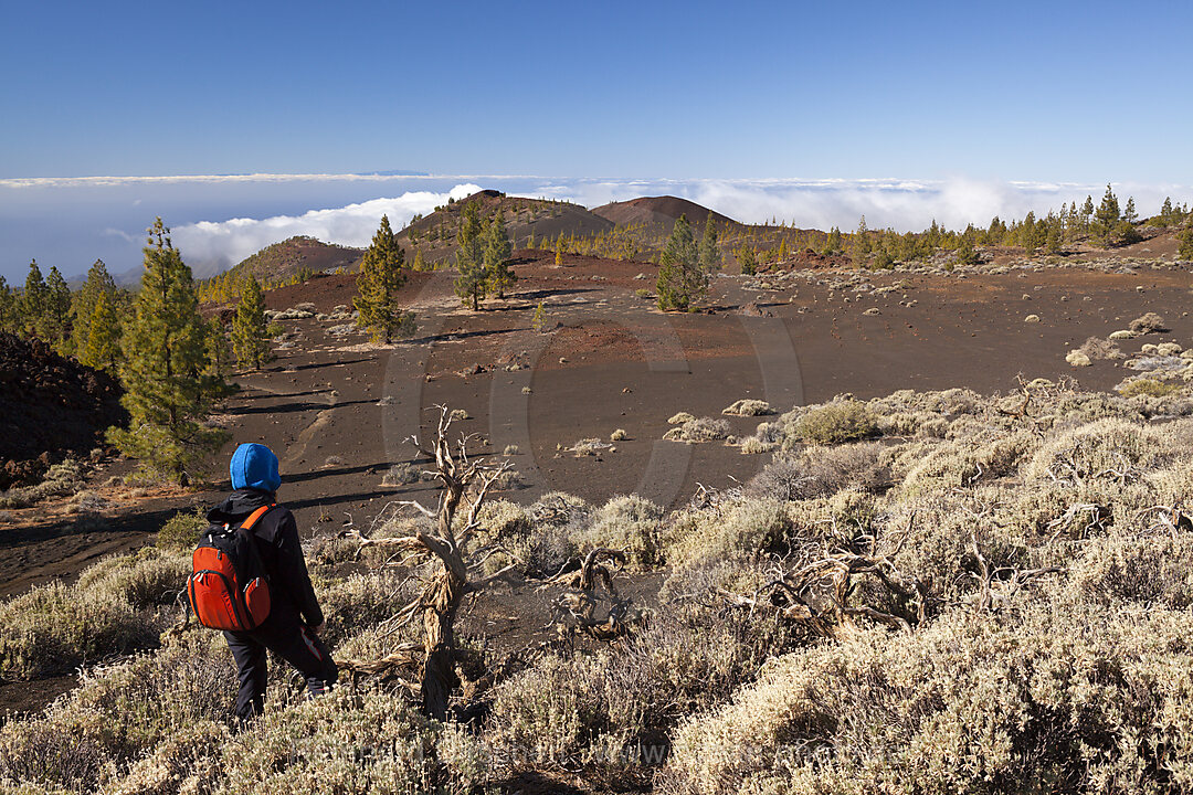 Kraterlandschaft des Teide Nationalparks