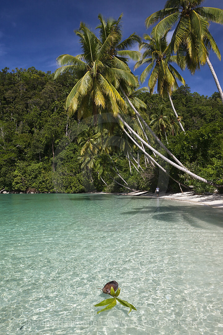 Tropische Insel in der Strait of Iris, n/a, Triton Bay, West Papua, Indonesien