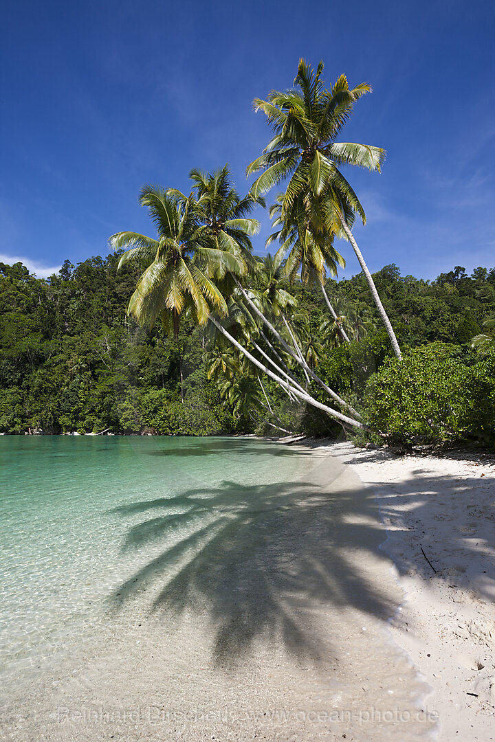 Tropische Insel in der Strait of Iris