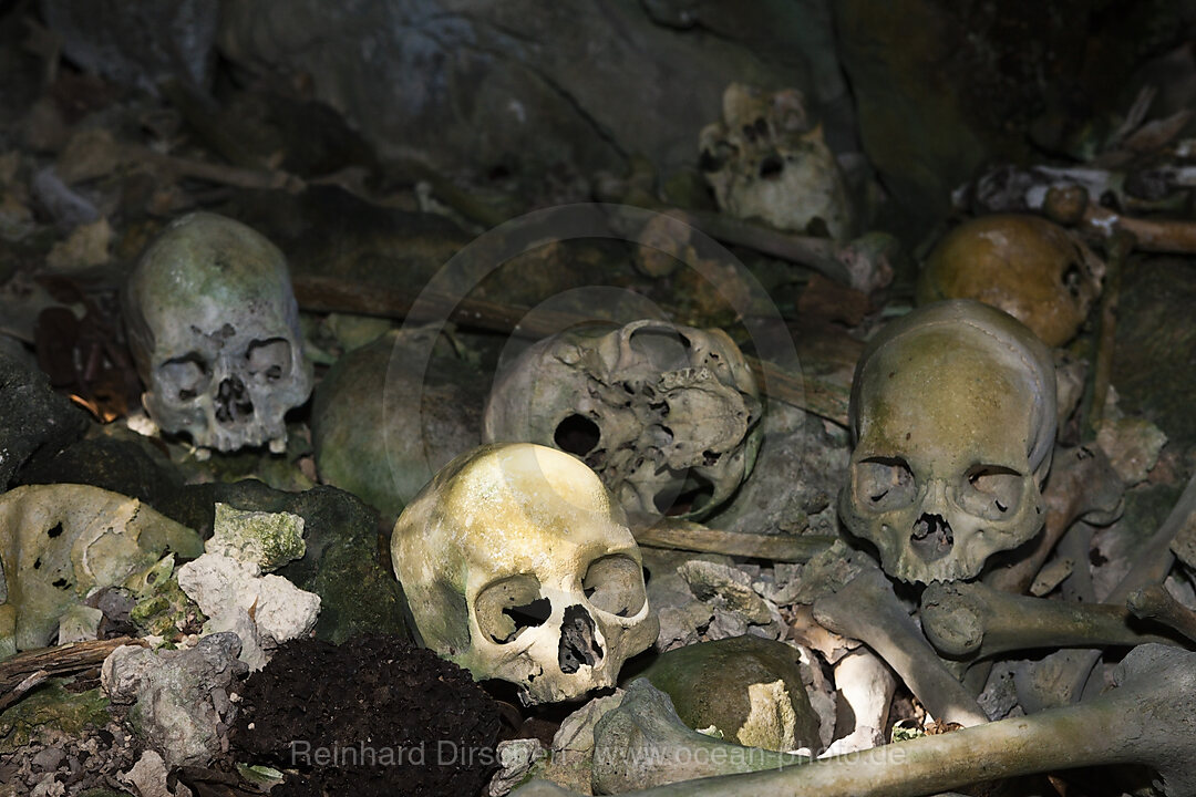 Alte Schaedel in den Rock Islands bei Malwawa