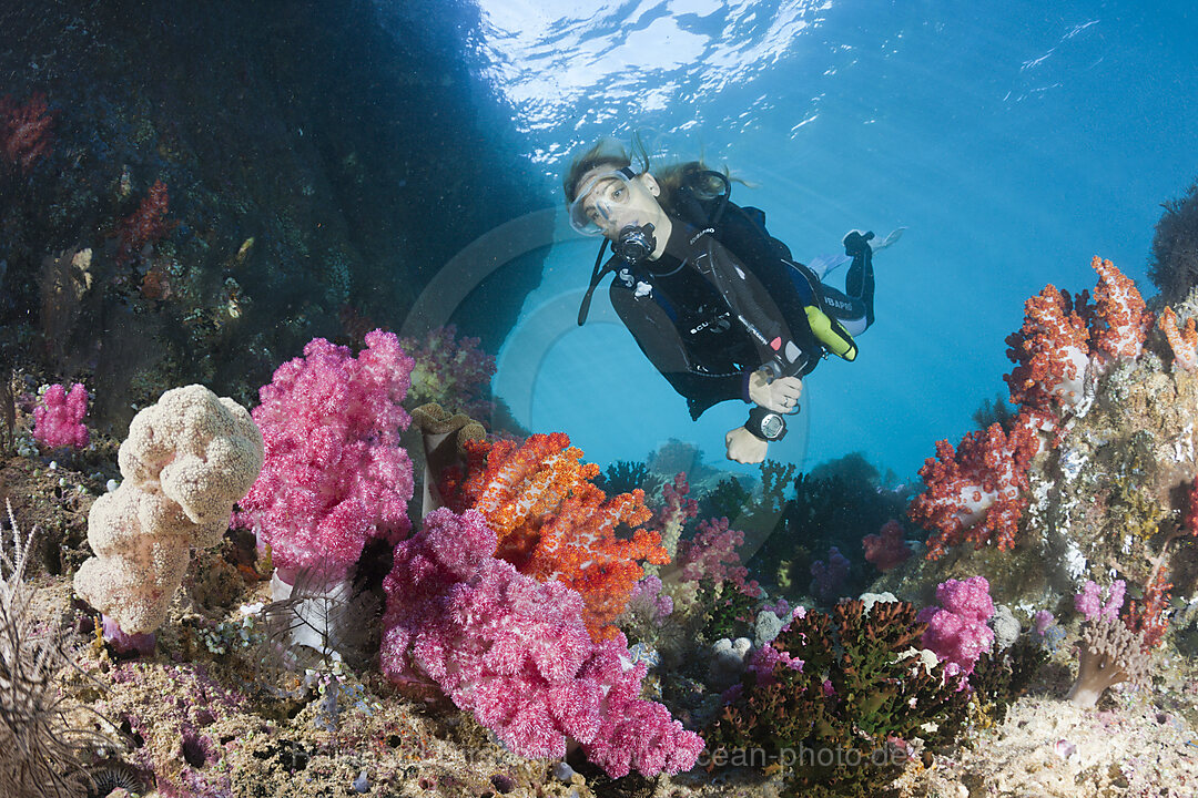 Scuba Diver and colored Coral Reef, n/a, Triton Bay, West Papua, Indonesia