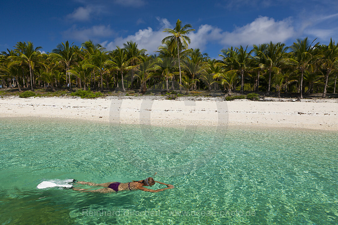 Snorkeling off Fadol Island, n/a, Kai Islands, Moluccas, Indonesia