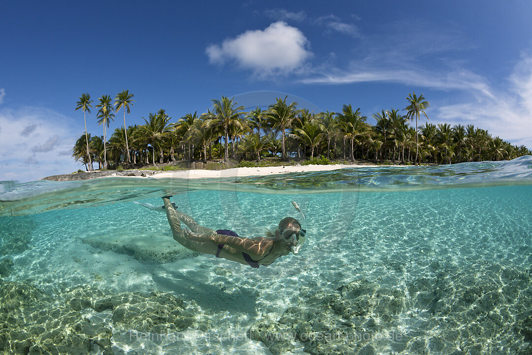 Snorkeling off palm-lined Island, n/a, Fadol, Kai Islands, Moluccas, Indonesia