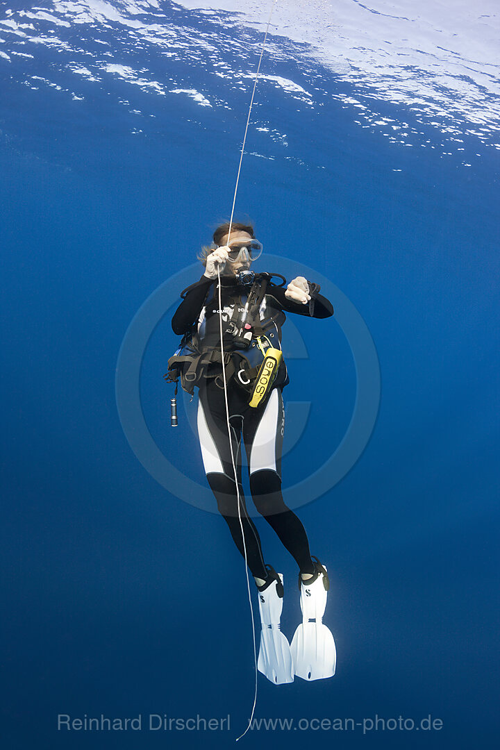 Diver doing Safety Stop, n/a, Kai Islands, Moluccas, Indonesia