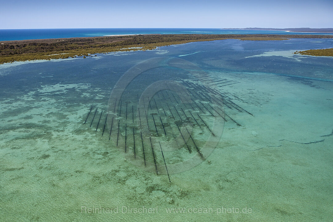 Austernzucht vor Moreton Island, Brisbane, Australien