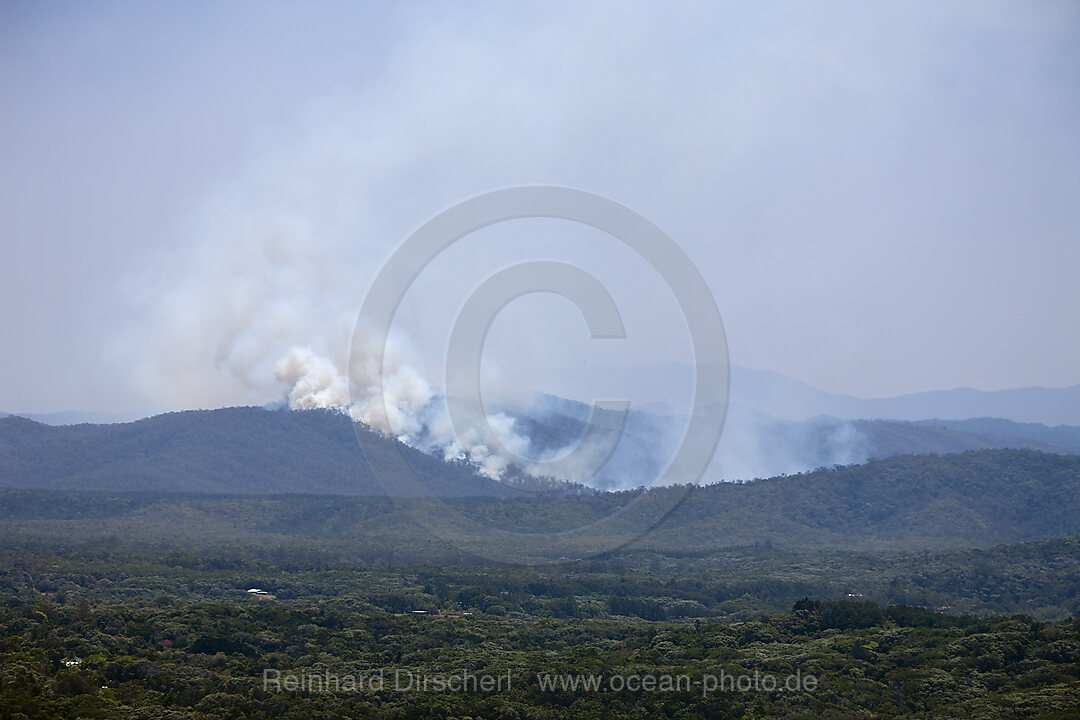 Buschfeuer im Regenwald, Kuranda, Cairns, Australien