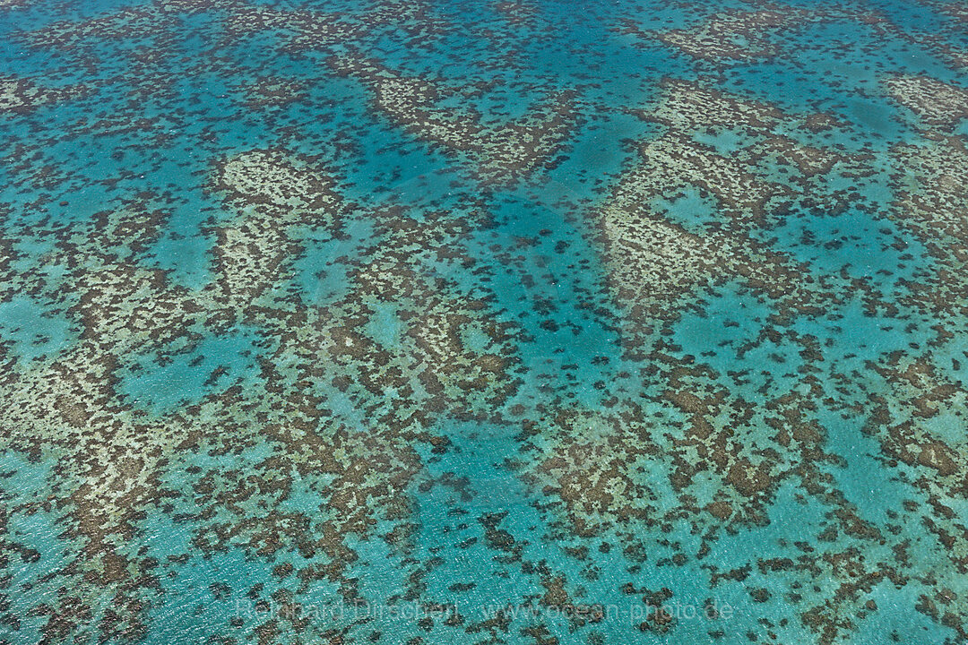 Aerial View of Great Barrier Reef, Queensland, Australia