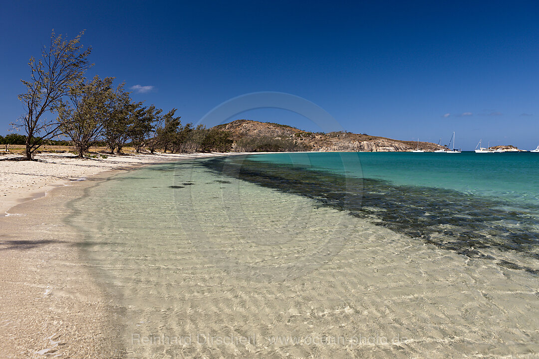 Watsons Bay Lizard Island, Great Barrier Reef, Australien