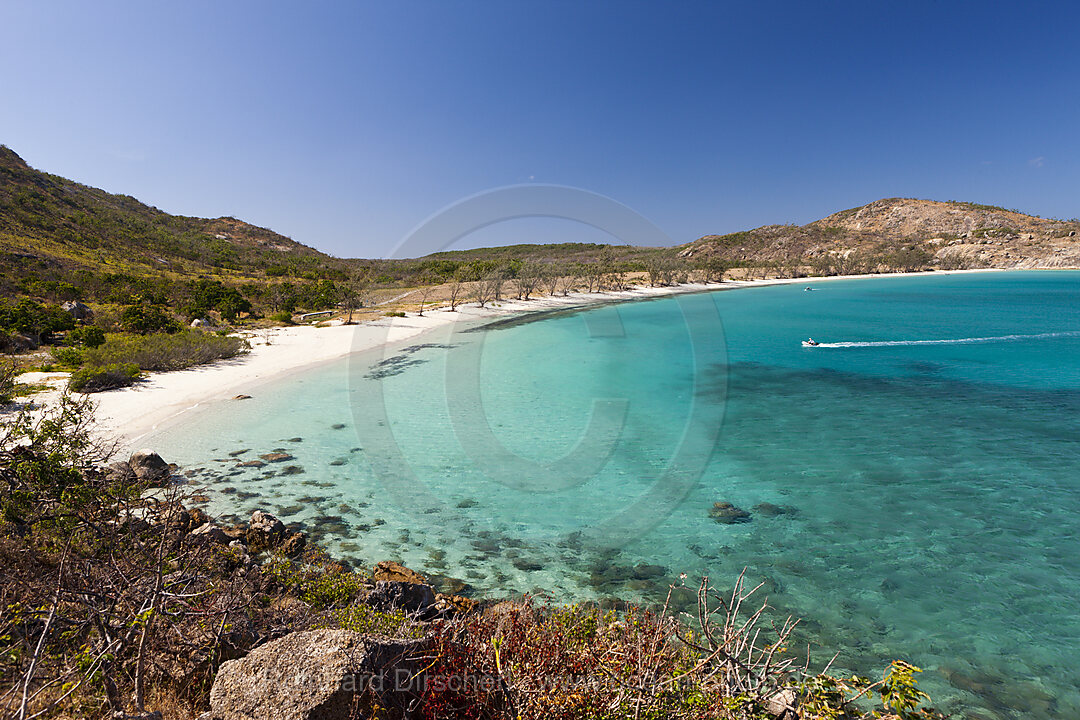 Watsons Bay Lizard Island, Great Barrier Reef, Australien