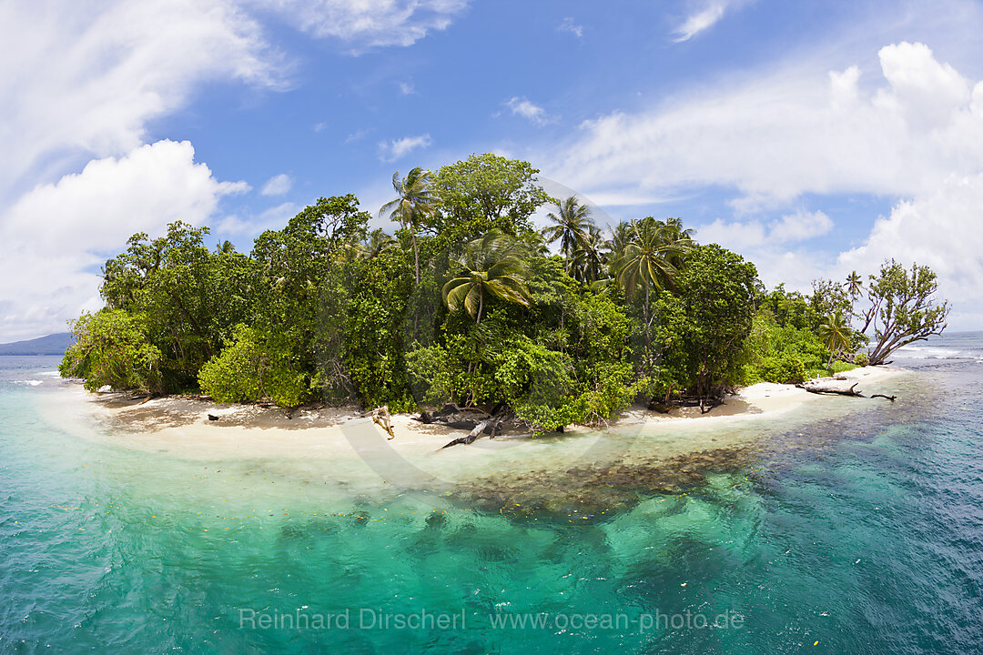 Wickham Island, Marovo Lagoon, Solomon Islands