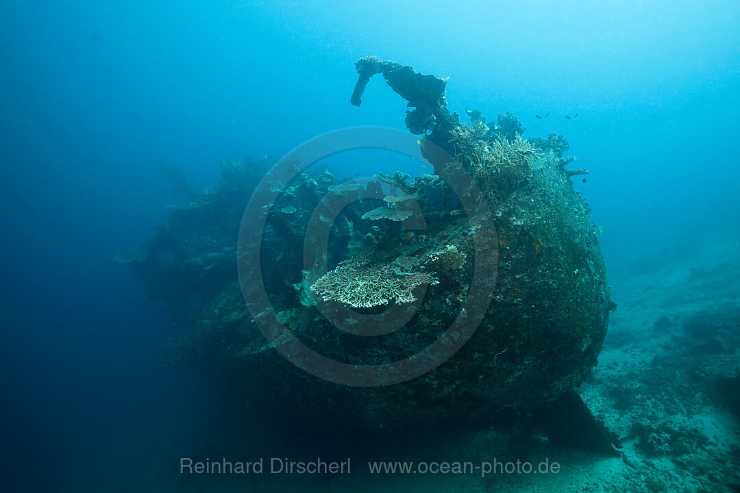 Wreck of Anne, Russell-Inseln, Salomonen