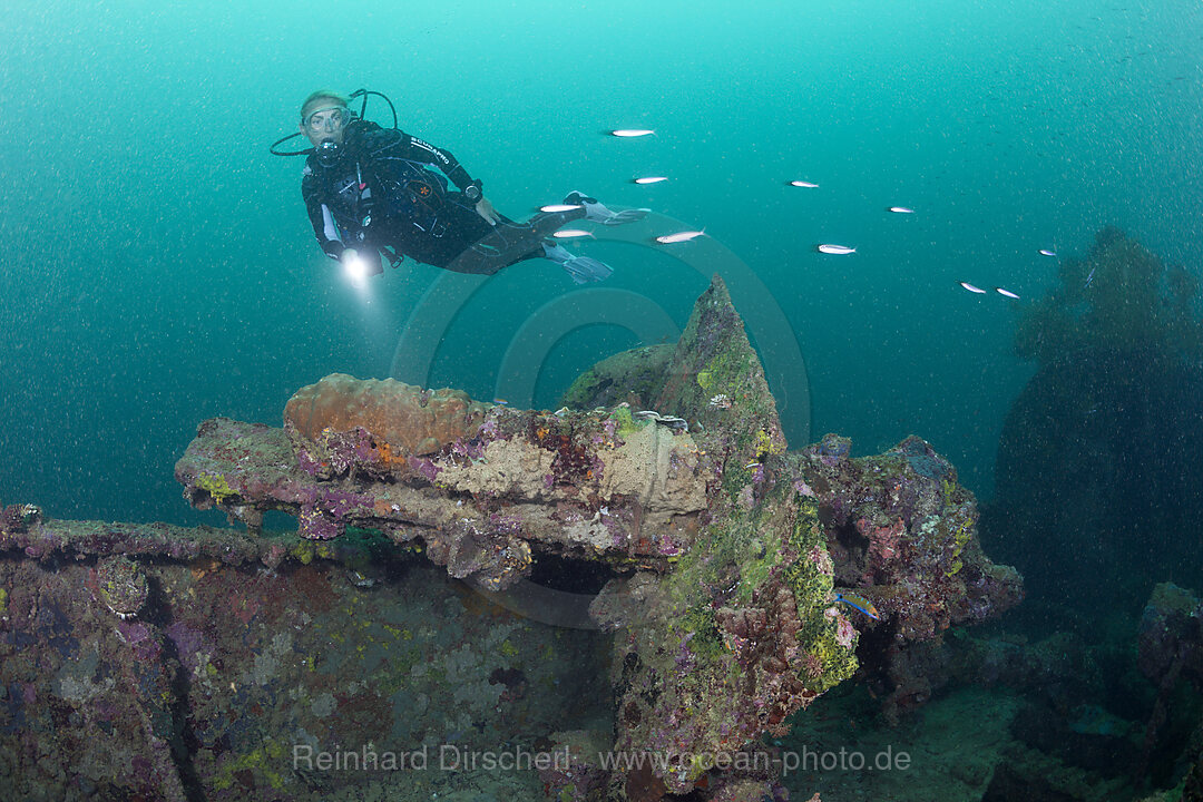 Diver at Japanese Wreck 2, Marovo Lagoon, Solomon Islands