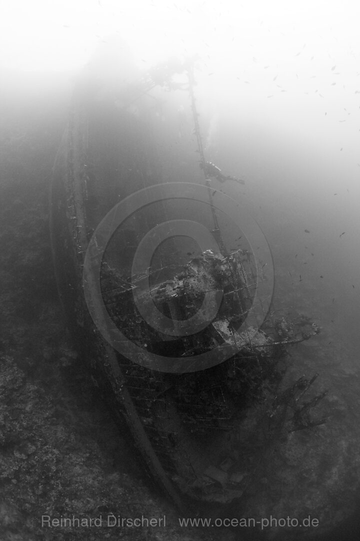 Upright Tuna Boat Wreck, Marovo Lagoon, Solomon Islands