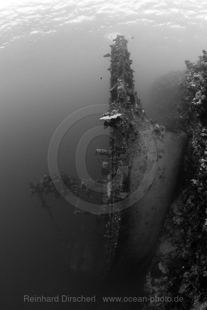 Upright Tuna Boat Wreck, Marovo Lagoon, Solomon Islands