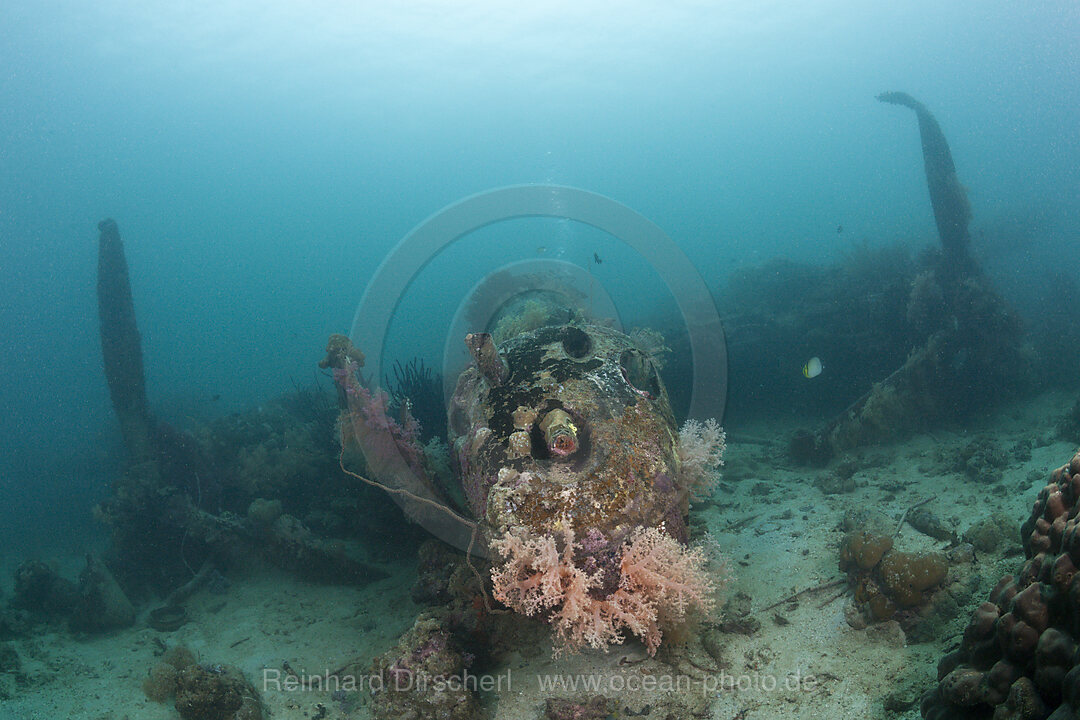 Lockheed P-38 Lightning Fighter Flugzeugwrack, Marovo Lagune, Salomonen