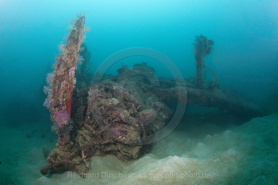 Sternmotor des Dauntless Dive Bomber Flugzeugwrack, Marovo Lagune, Salomonen