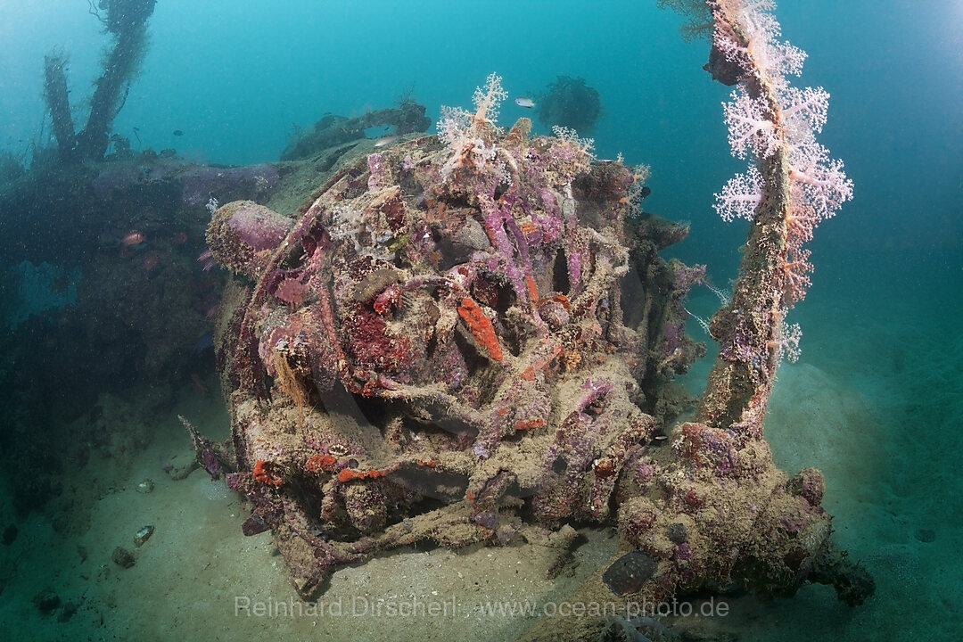 Sternmotor des Dauntless Dive Bomber Flugzeugwrack, Marovo Lagune, Salomonen