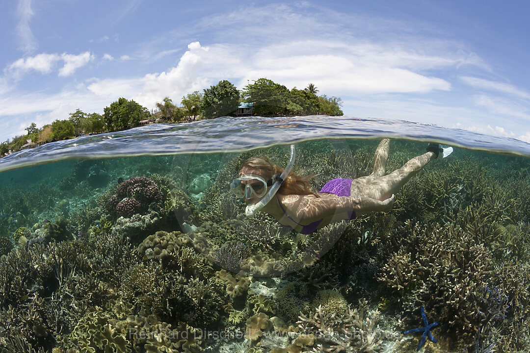 Snorkeling at Solomon Islands, Florida Islands, Solomon Islands