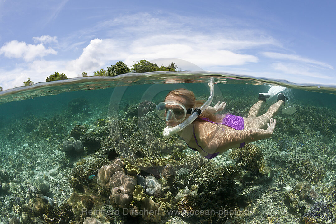 Schnorcheln im Flachwasser, Florida Islands, Salomonen