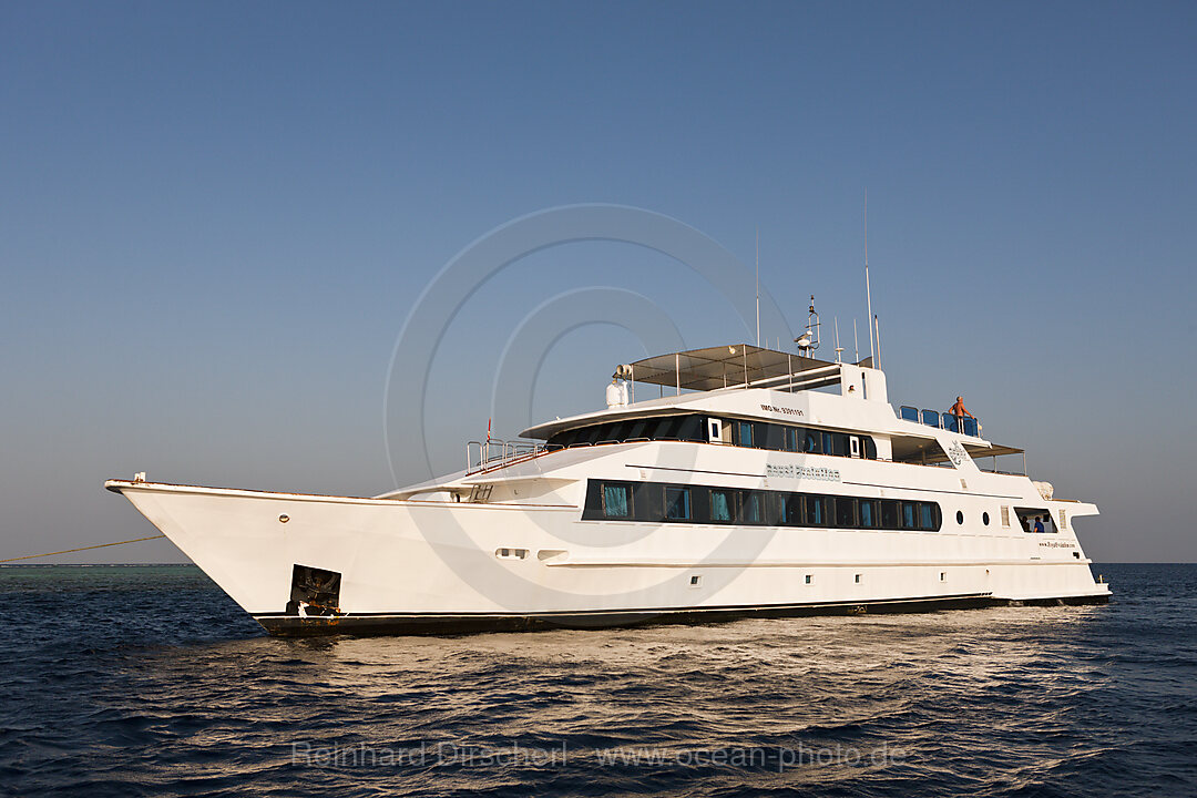 Tauchkreuzfahrtschiff Royal Evolution, Rotes Meer, Sudan