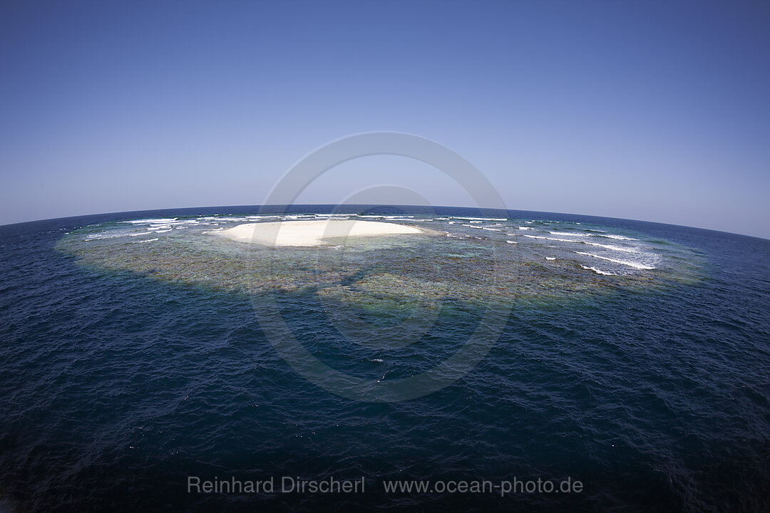 Angarosh Riff, Rotes Meer, Sudan