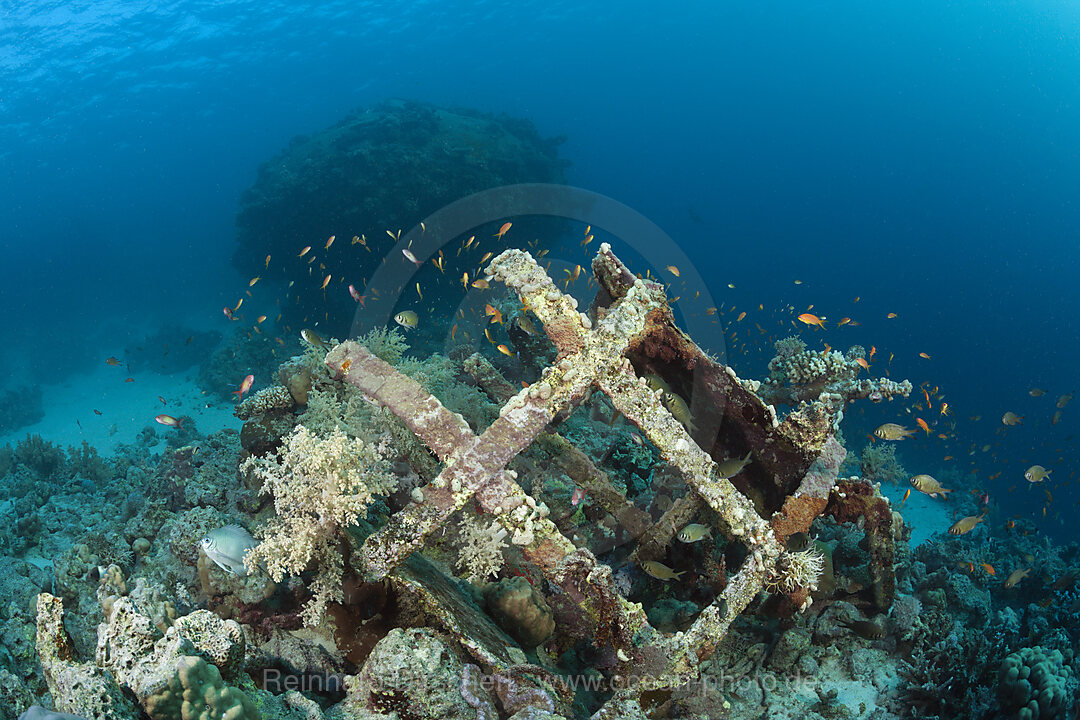 Ueberreste der Jacques Cousteau Unterwasserstation Precontinent II, Shaab Rumi, Rotes Meer, Sudan
