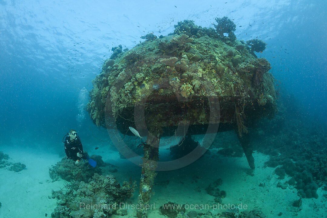 Diving Cousteaus Underwater Habitat Precontinent II, Shaab Rumi, Red Sea, Sudan