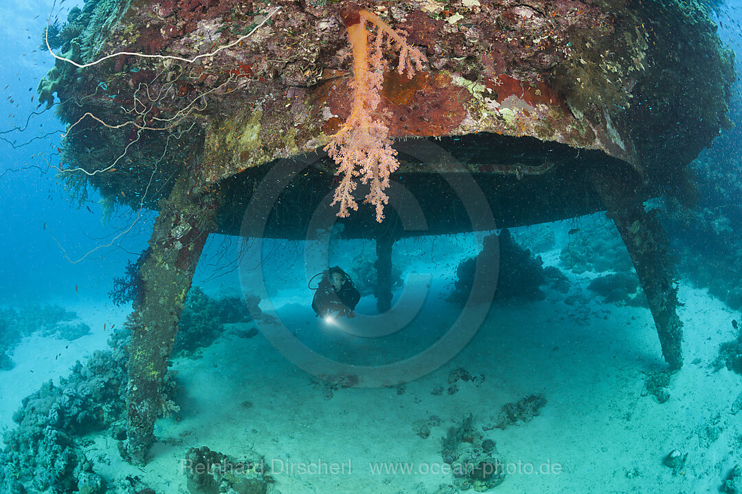 Taucher unter Jacques Cousteau Unterwasserstation Precontinent II, Shaab Rumi, Rotes Meer, Sudan