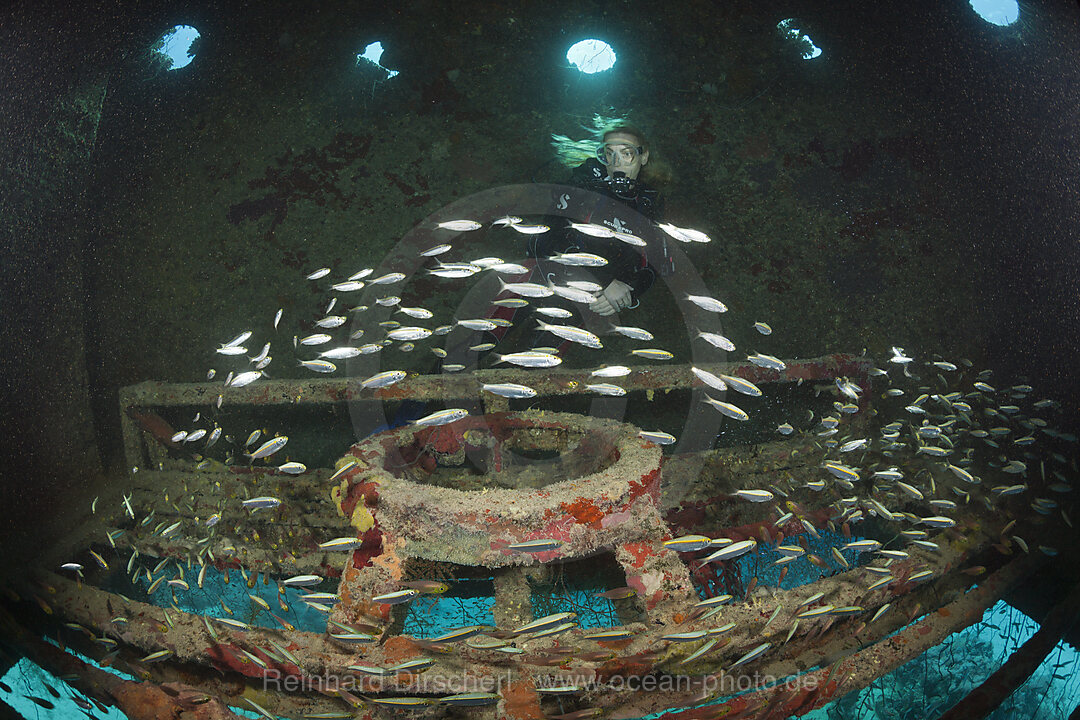 Taucher in der Jacques Cousteau Unterwasserstation Precontinent II, Shaab Rumi, Rotes Meer, Sudan