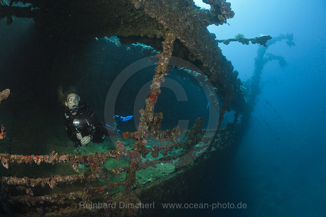 Scuba Diver at Umbria Wreck, Wingate Reef, Red Sea, Sudan