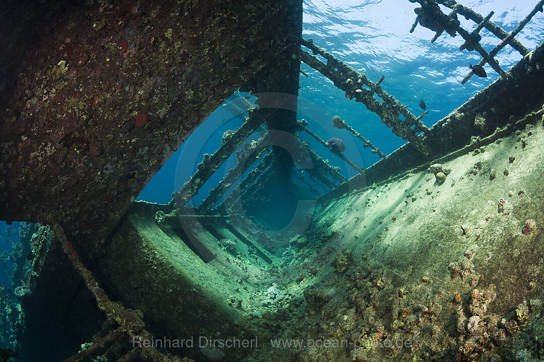 Wrack der Umbria, Wingate Riff, Rotes Meer, Sudan