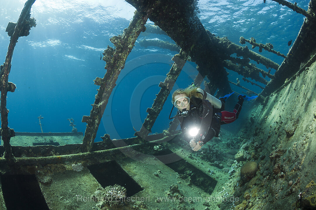 Scuba Diver at Umbria Wreck, Wingate Reef, Red Sea, Sudan