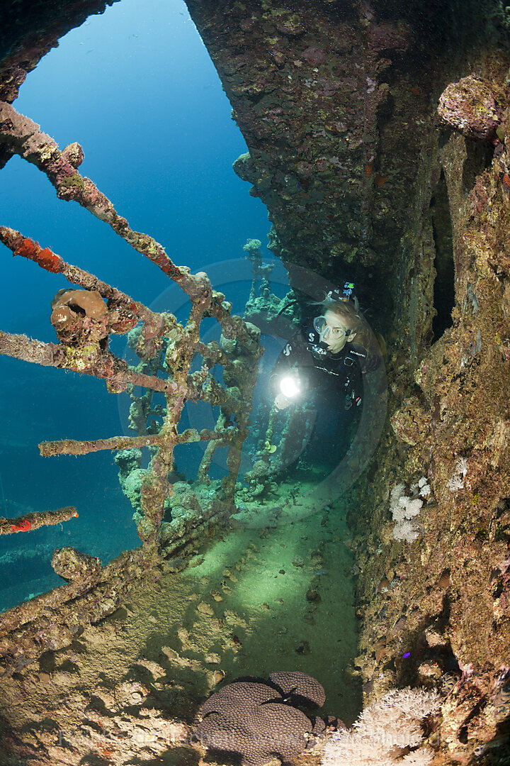 Scuba Diver at Umbria Wreck, Wingate Reef, Red Sea, Sudan