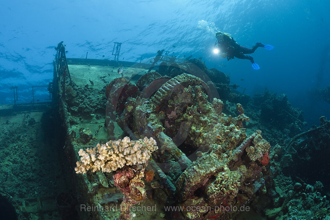 Scuba Diver at Umbria Wreck, Wingate Reef, Red Sea, Sudan