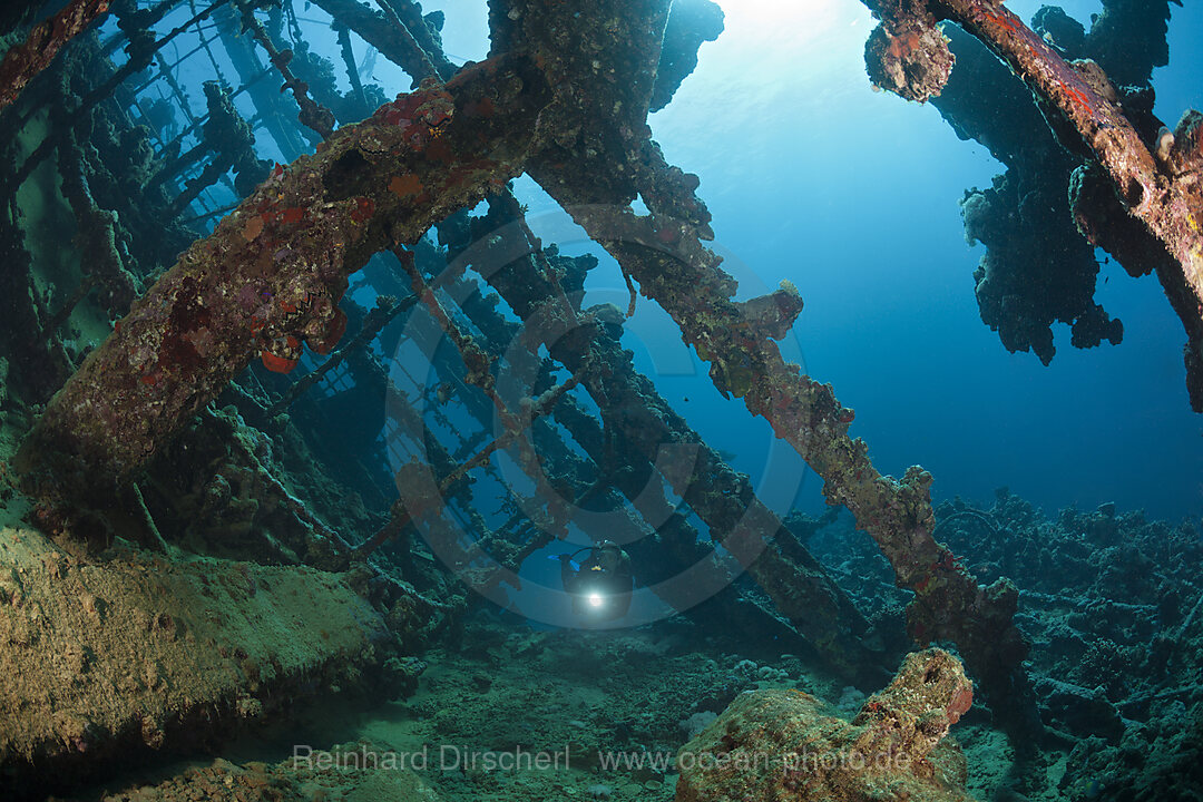 Scuba Diver at Umbria Wreck, Wingate Reef, Red Sea, Sudan