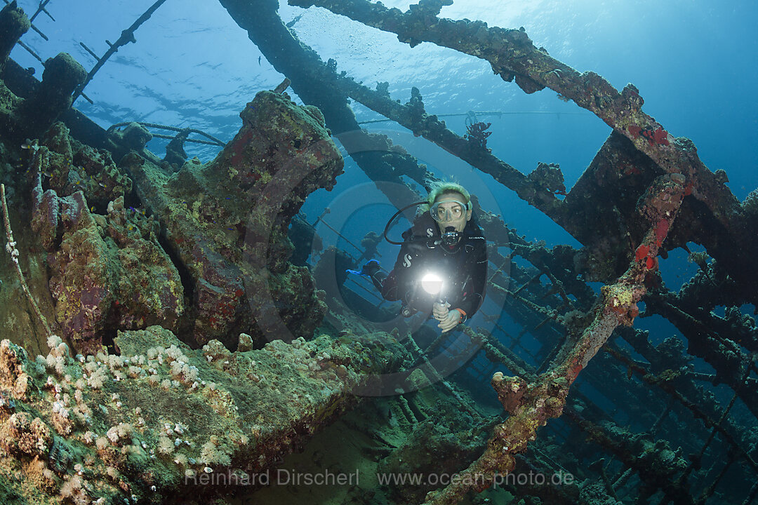 Scuba Diver at Umbria Wreck, Wingate Reef, Red Sea, Sudan