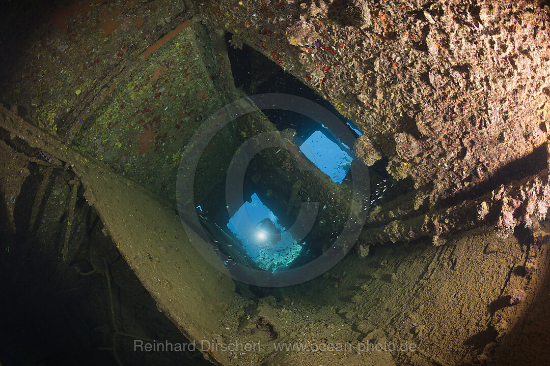 Scuba Diver at Umbria Wreck, Wingate Reef, Red Sea, Sudan