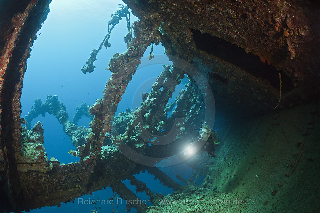 Scuba Diver at Umbria Wreck, Wingate Reef, Red Sea, Sudan