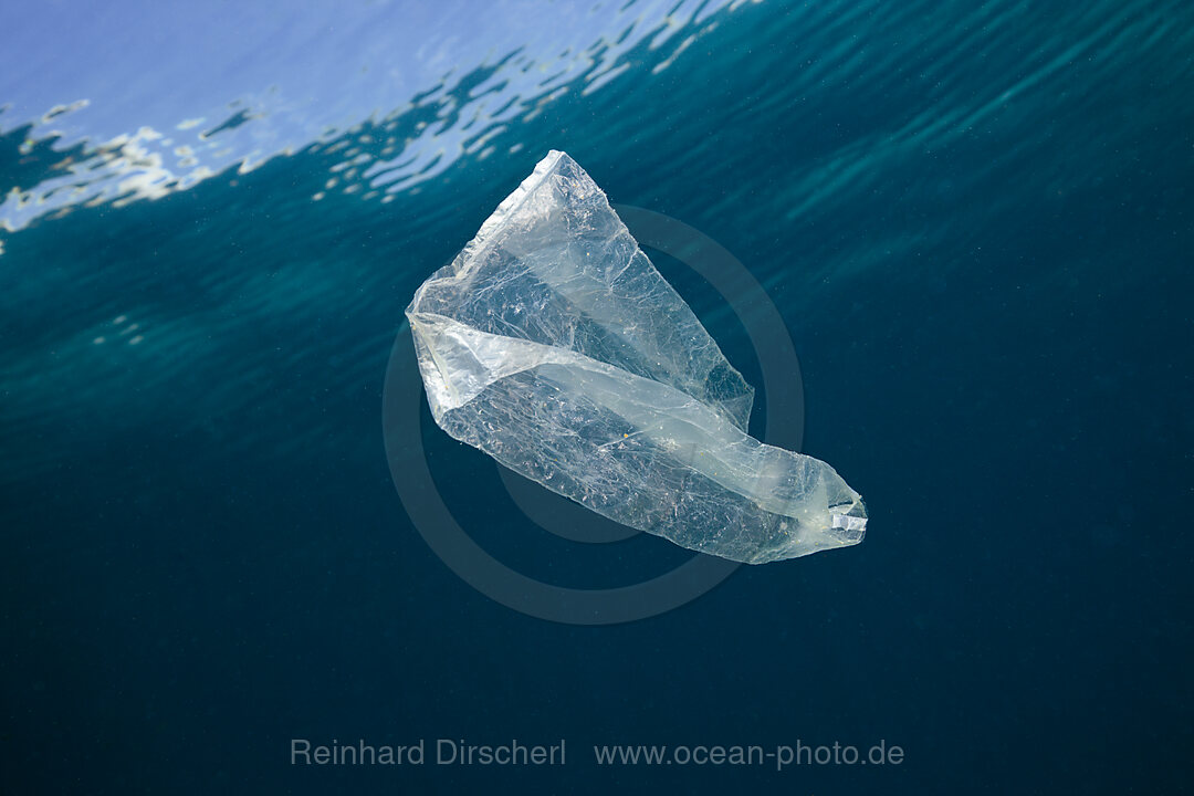 Plastiktuete treibt im Meer, Indopazifik