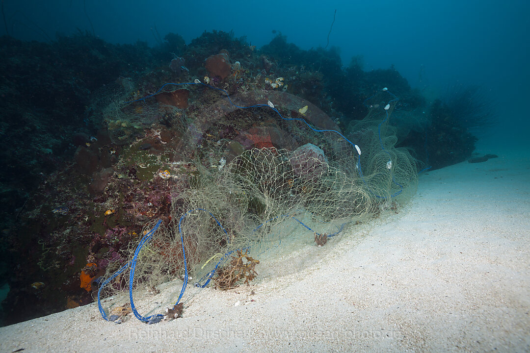 Verlorenes Fischernetz ueberzieht Korallenriff, Indopazifik, Indonesien