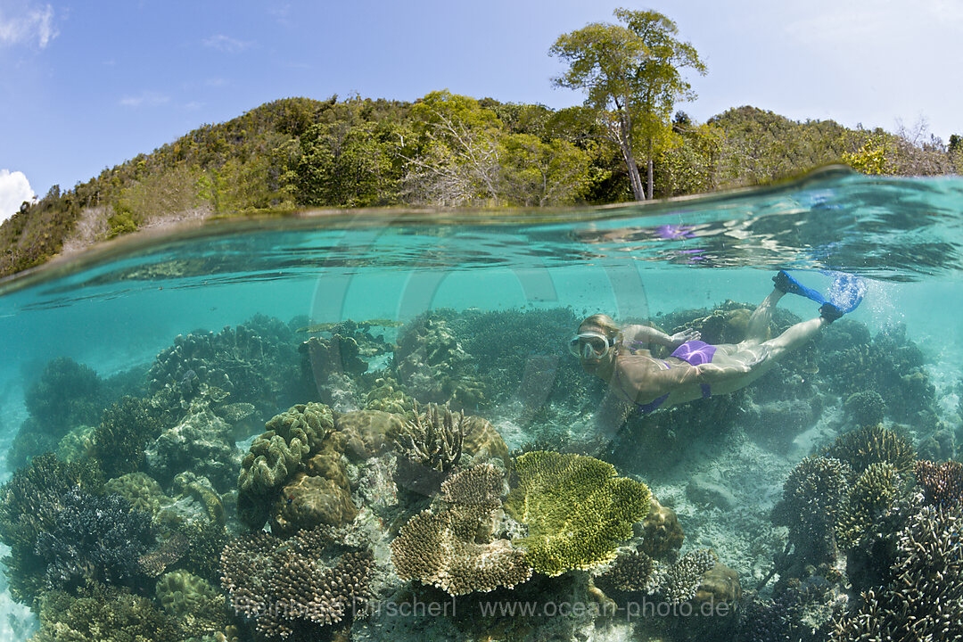 Korallen im Flachwasser, Raja Ampat, West Papua, Indonesien